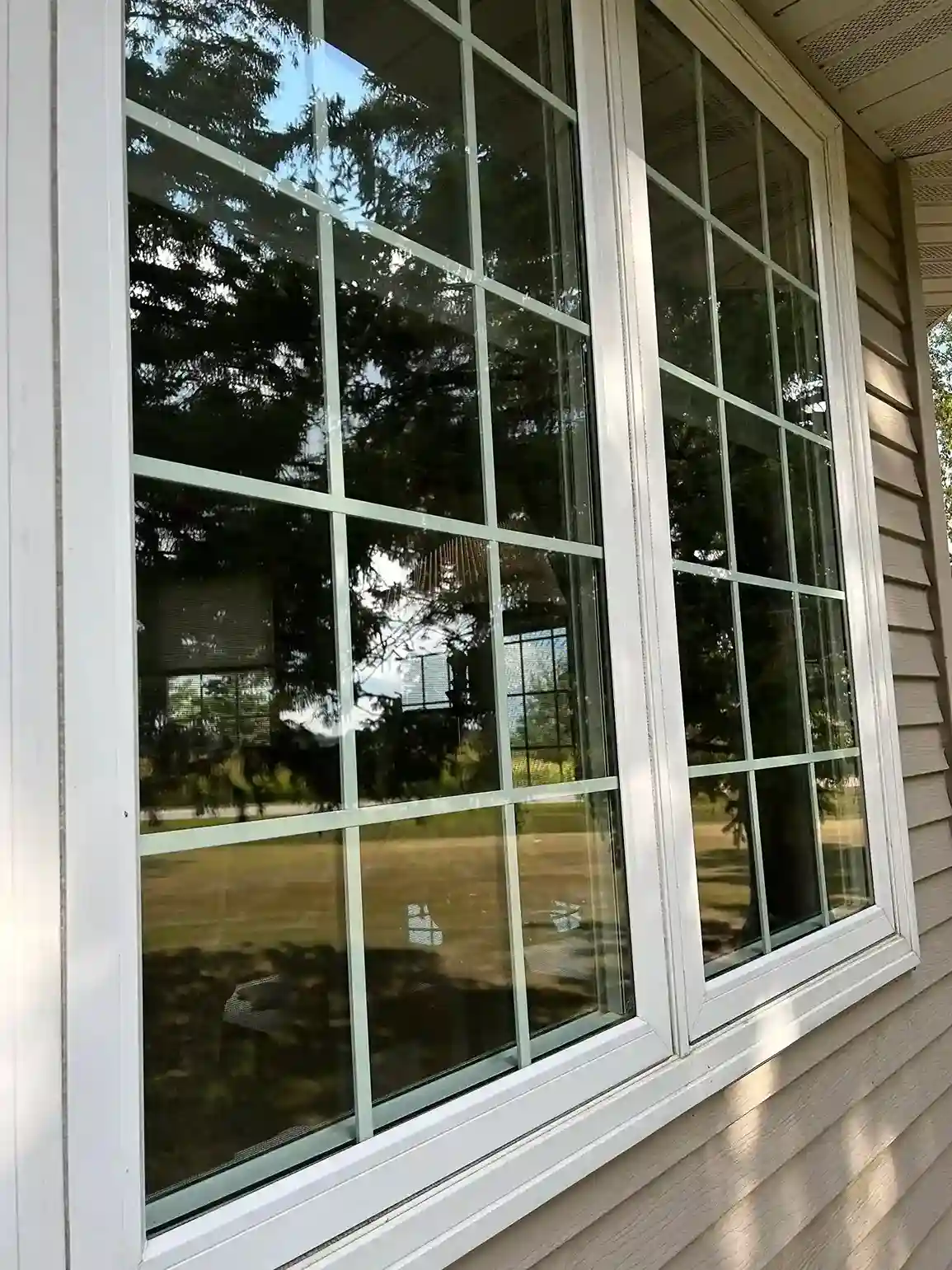 Second-story high reach window washing with water-fed pole in Morris MN