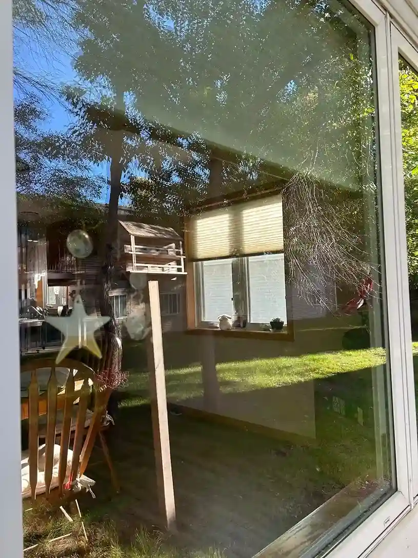 Streak-free window glass reflecting sunlight after exterior wash